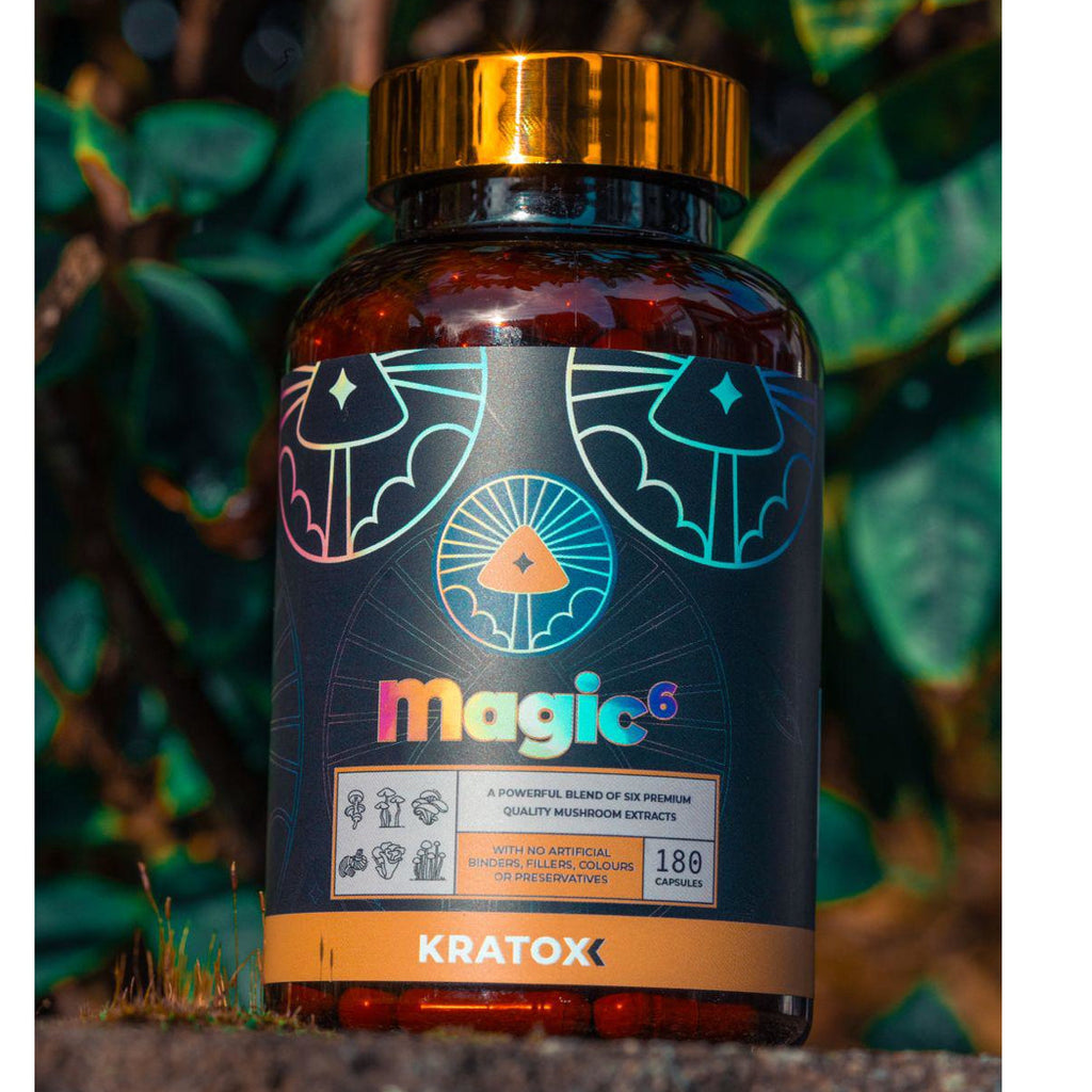 Magic 6 Mushroom Supplement: Lion's Mane, Cordyceps, Reishi, Chaga, Turkey Tail and Tiger Milk