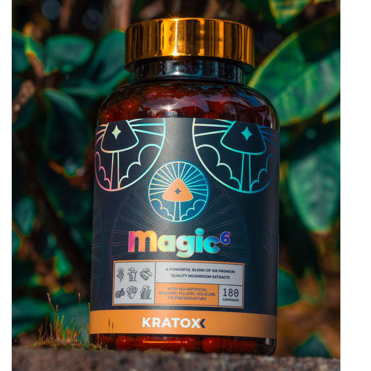 Magic 6 Mushroom Supplement: Lion's Mane, Cordyceps, Reishi, Chaga, Turkey Tail and Tiger Milk