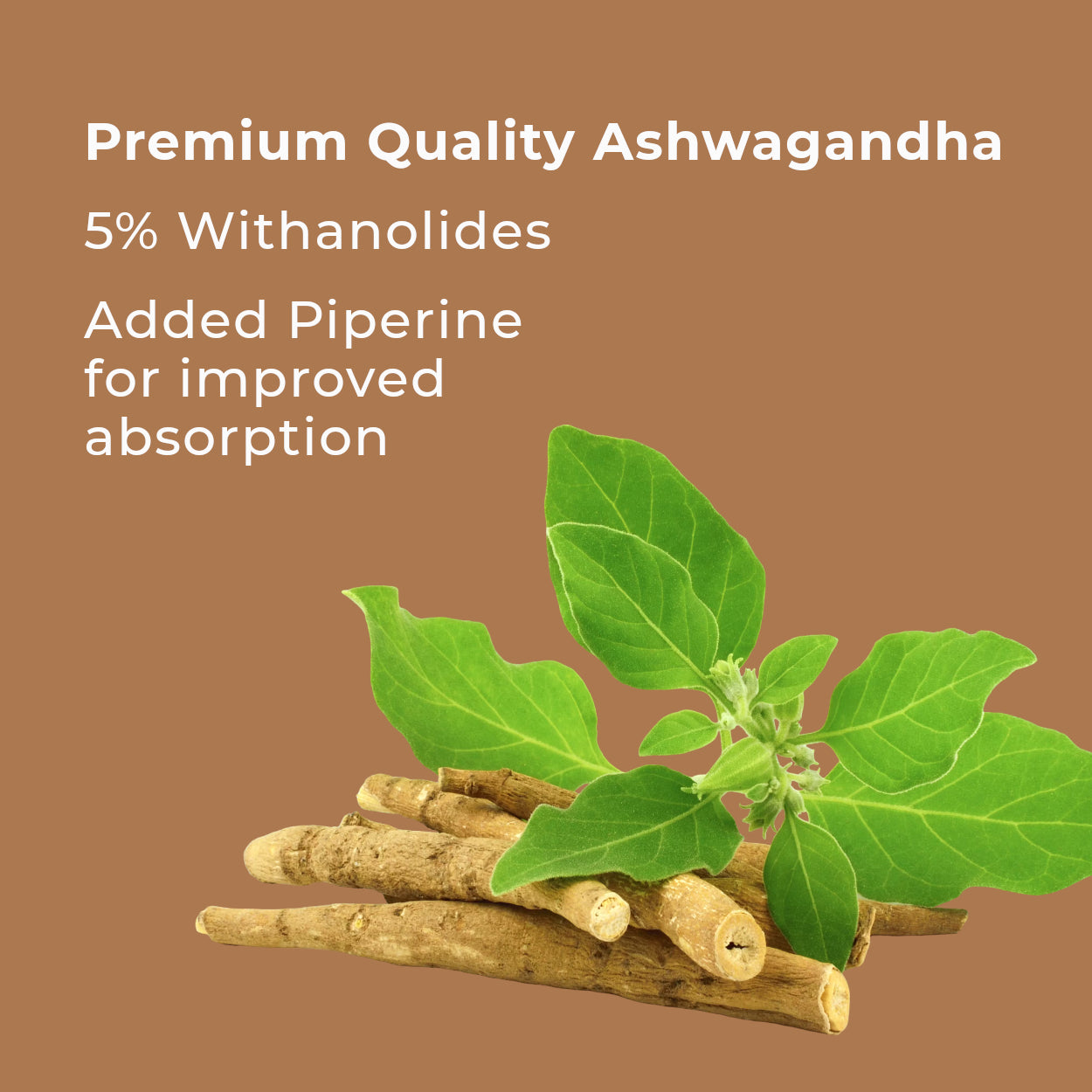 Ashwagandha - 5% Withanolides