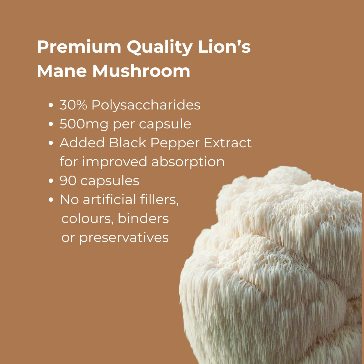 Lions Mane (30% Polysaccharides)