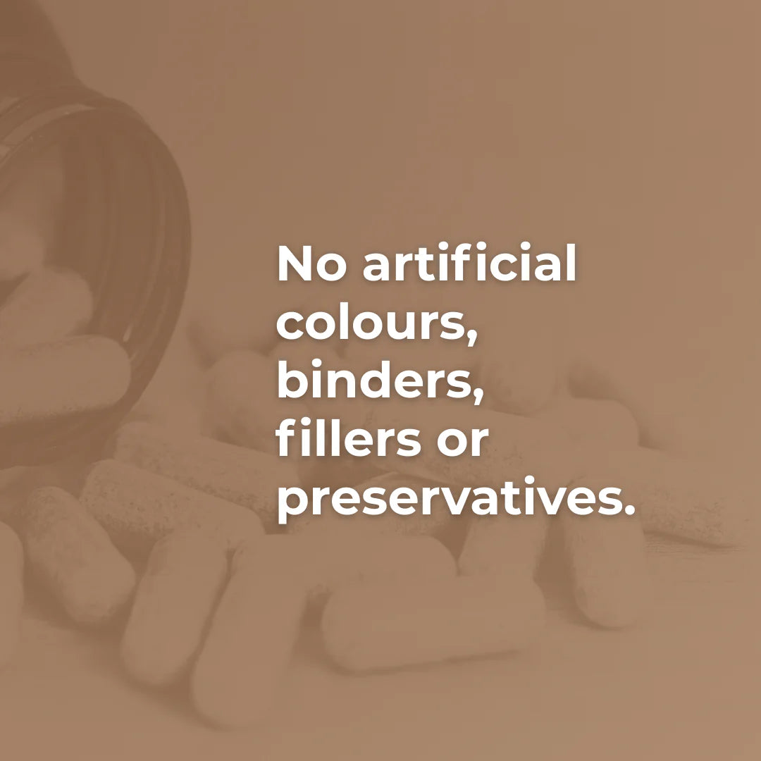 Cordyceps (30% Beta Glucans)