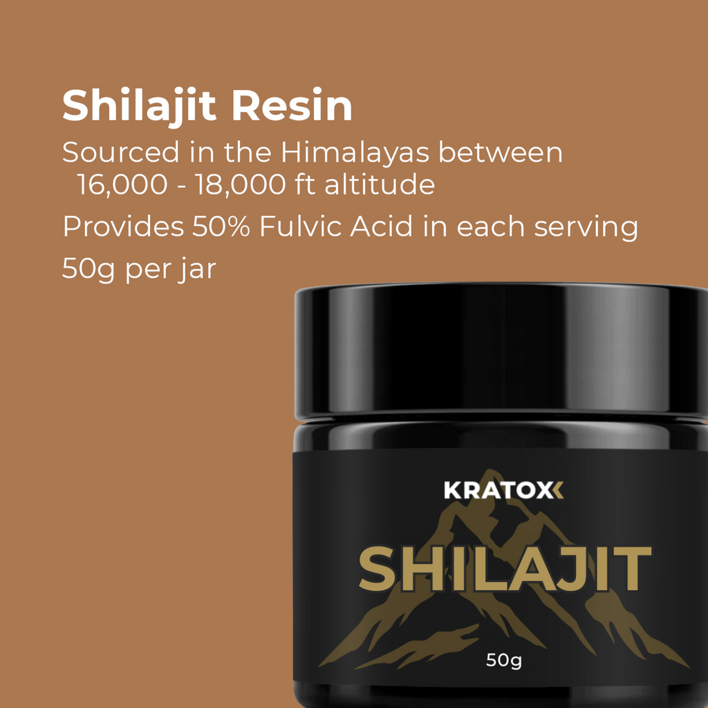 Shilajit Resin 50g